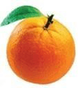 Orange Democratic Movement logo