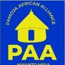 Pamoja African Alliance logo