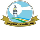 The National Vision Party logo